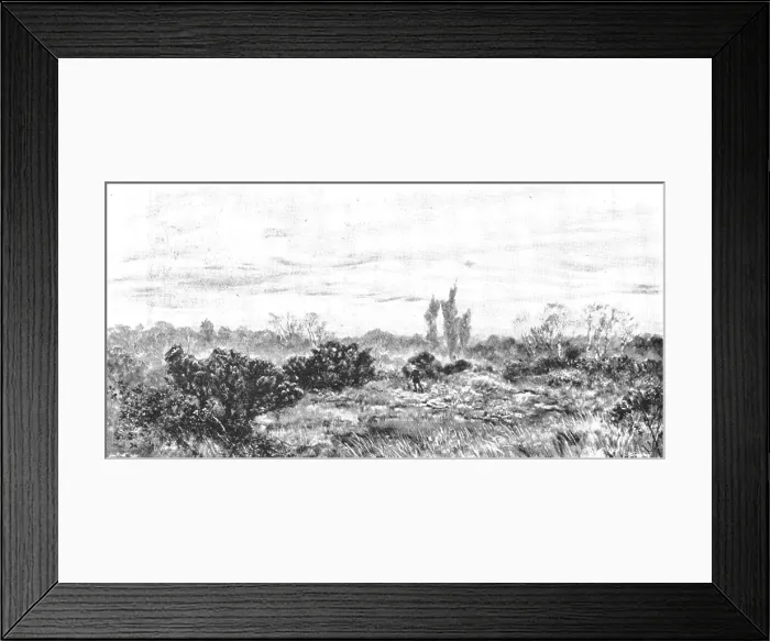 Framed Print : Pictures from the Royal Academy: 'The Sear, The Yellow Leaf' - J. Brett, A.R.A. 1895. Creator: George Meisenbach Framed Print : Pictures from the Royal Academy: 'The Sear, The Yellow Leaf' - J. Brett, A.R.A. 1895. Creator: George Meisenbach