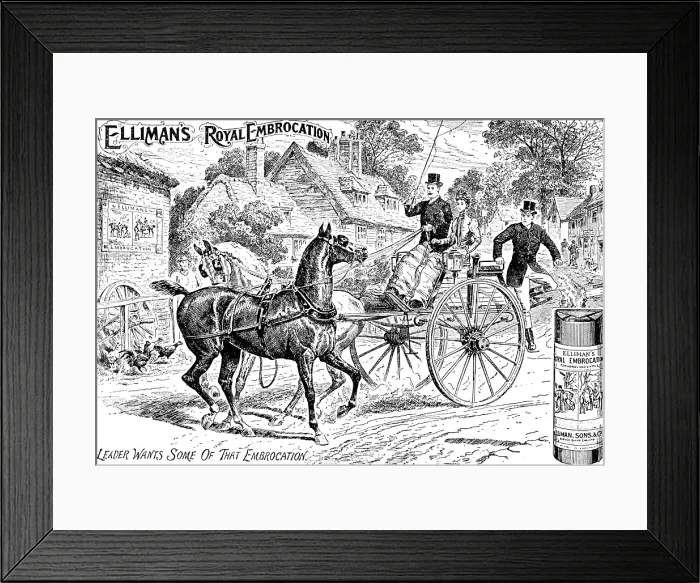 Framed Print : Advertisement for Elliman's Royal Embrocation, 1895. Creator: Unknown. Advertisement for Elliman's Royal Embrocation, 1895. Creator: Unknown Framed Print : Advertisement for Elliman's Royal Embrocation, 1895. Creator: Unknown. Advertisement for Elliman's Royal Embrocation, 1895. Creator: Unknown