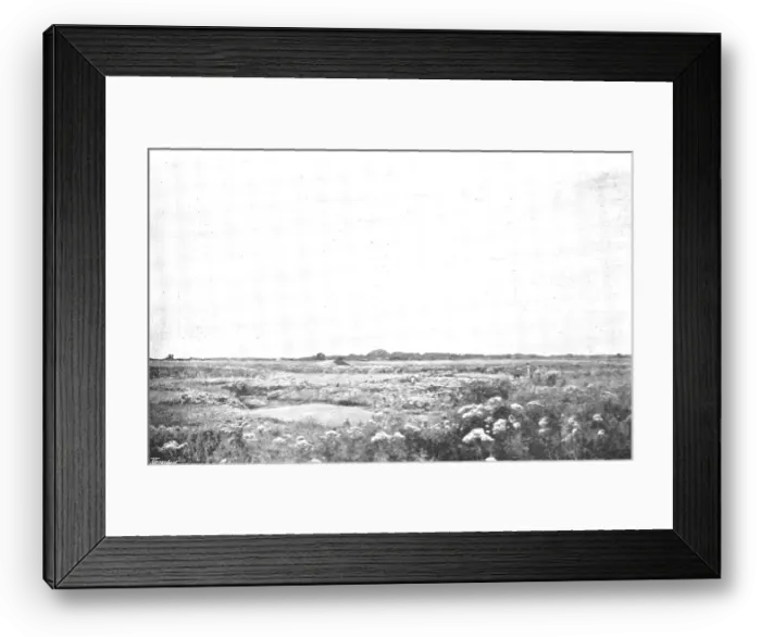 Framed Print : Pictures from the Royal Academy: Thistledown - D. Murray, A.R.A. 1895. Creator: George Meisenbach Framed Print : Pictures from the Royal Academy: Thistledown - D. Murray, A.R.A. 1895. Creator: George Meisenbach