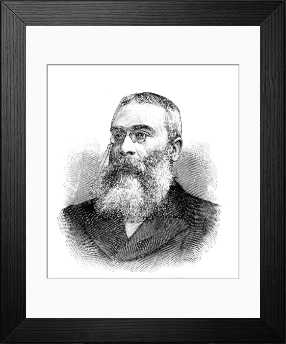 Framed Print : Sir Walter Besant, 1895. Creator: P Naumann Framed Print : Sir Walter Besant, 1895. Creator: P Naumann