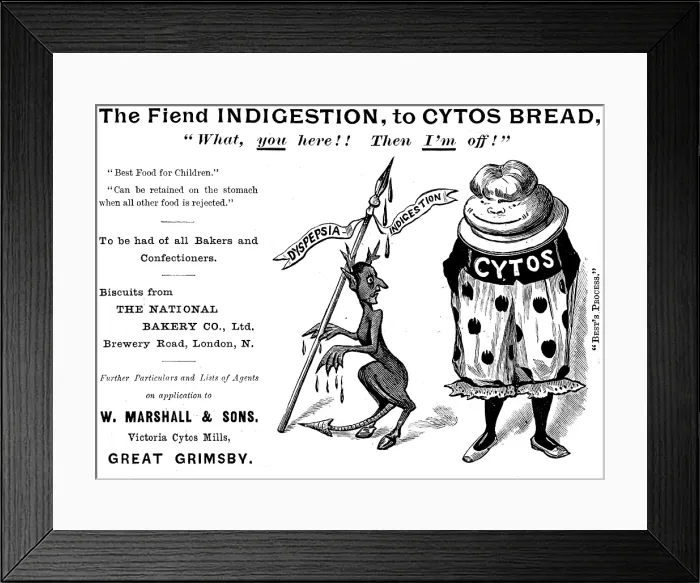 Framed Print : Advertisement for Cytos Bread, 1895. Creator: Unknown Framed Print : Advertisement for Cytos Bread, 1895. Creator: Unknown