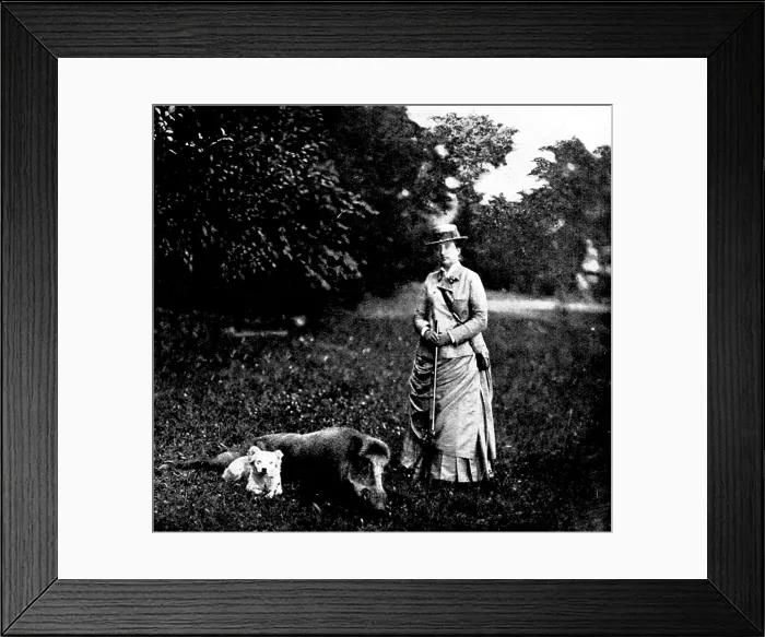 Framed Print : The Duc d'Aosta's Marriage with Princess Helene of Orleans: the Comtesse de Paris... 1895 Framed Print : The Duc d'Aosta's Marriage with Princess Helene of Orleans: the Comtesse de Paris... 1895