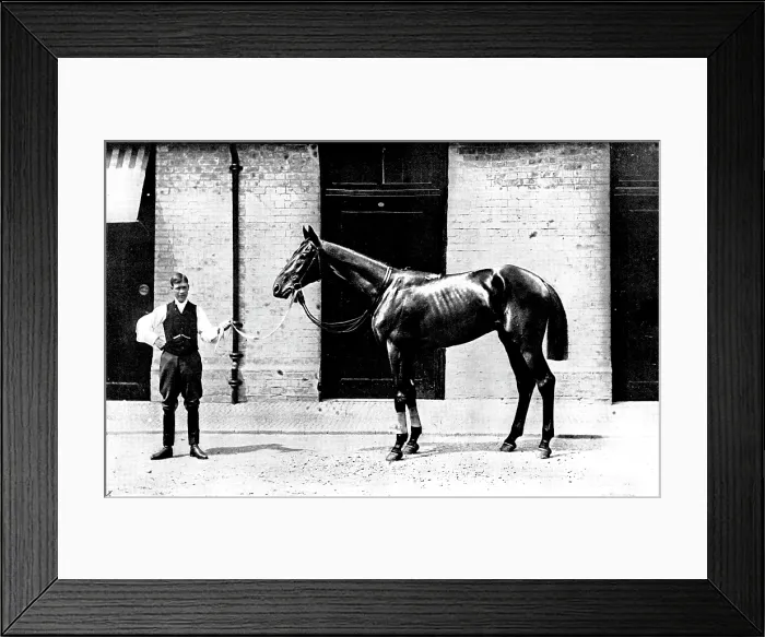 Framed Print : The Winner of the Derby: Lord Rosebery's Sir Visto, 1895. Creator: Clarence Hailey. The Winner of the Derby: Lord Rosebery's Sir Visto, 1895. Creator: Clarence Hailey Framed Print : The Winner of the Derby: Lord Rosebery's Sir Visto, 1895. Creator: Clarence Hailey. The Winner of the Derby: Lord Rosebery's Sir Visto, 1895. Creator: Clarence Hailey