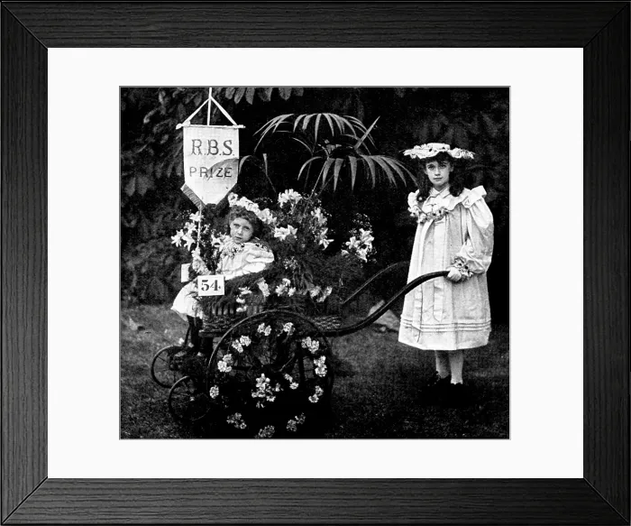 Framed Print : Children's Floral Fete, Royal Botanical Society's Gardens, Regent's Park: Mr Framed Print : Children's Floral Fete, Royal Botanical Society's Gardens, Regent's Park: Mr