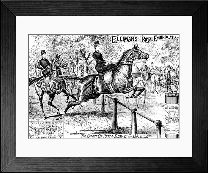 Framed Print : Advertisement for Elliman's Royal Embrocation, 1895. Creator: Unknown. Advertisement for Elliman's Royal Embrocation, 1895. Creator: Unknown Framed Print : Advertisement for Elliman's Royal Embrocation, 1895. Creator: Unknown. Advertisement for Elliman's Royal Embrocation, 1895. Creator: Unknown