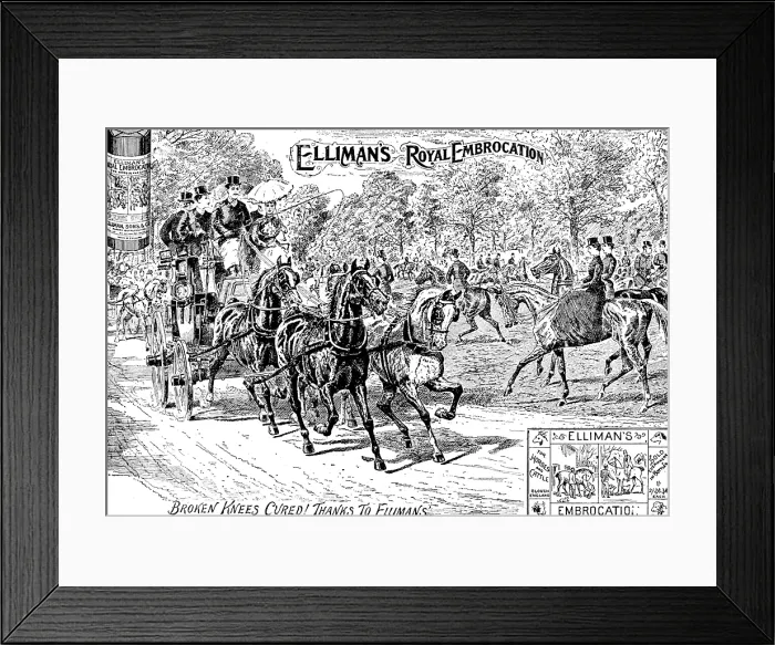 Framed Print : Advertisement for Elliman's Royal Embrocation, 1895. Creator: Joseph Swain. Advertisement for Elliman's Royal Embrocation, 1895. Creator: Joseph Swain Framed Print : Advertisement for Elliman's Royal Embrocation, 1895. Creator: Joseph Swain. Advertisement for Elliman's Royal Embrocation, 1895. Creator: Joseph Swain