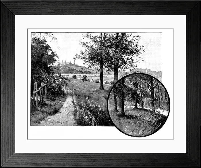 Framed Print : Churchyard Bottom Wood, Highgate, the spoliation of which is under discussion, 1895. Creator: George Meisenbach Framed Print : Churchyard Bottom Wood, Highgate, the spoliation of which is under discussion, 1895. Creator: George Meisenbach