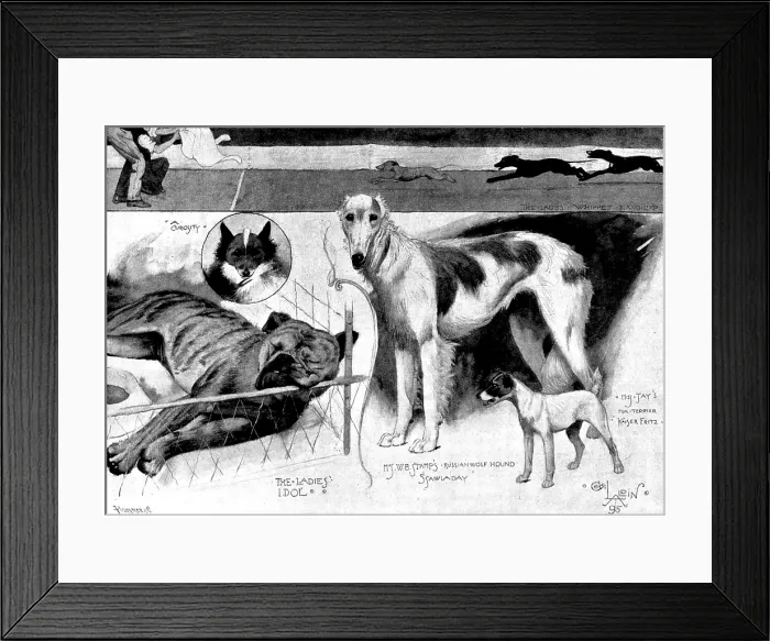Framed Print : Sketches at the Ladies Kennel Association's first show, at the Ranelagh Club, Barn Elms, 1895 Framed Print : Sketches at the Ladies Kennel Association's first show, at the Ranelagh Club, Barn Elms, 1895