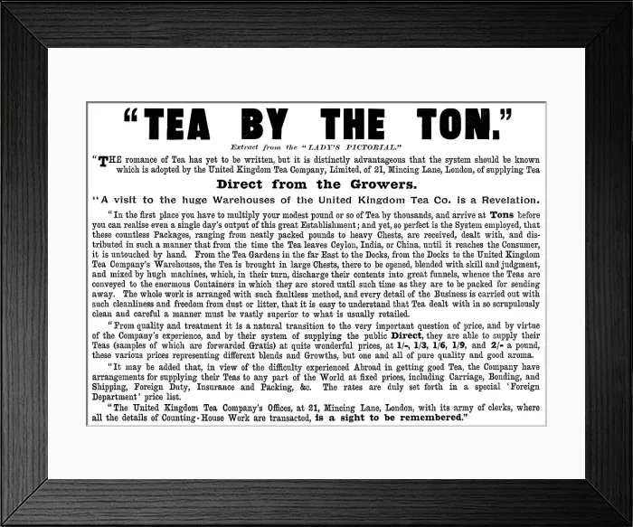 Framed Print : Advertisement for the United Kingdom Tea Company, 1895. Creator: Unknown Framed Print : Advertisement for the United Kingdom Tea Company, 1895. Creator: Unknown