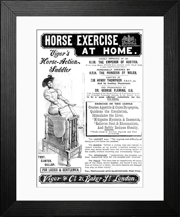 Framed Print : Advertisement for Vigor's Horse-Action Saddle, 1895. Creator: Unknown. Advertisement for Vigor's Horse-Action Saddle, 1895. Creator: Unknown Framed Print : Advertisement for Vigor's Horse-Action Saddle, 1895. Creator: Unknown. Advertisement for Vigor's Horse-Action Saddle, 1895. Creator: Unknown