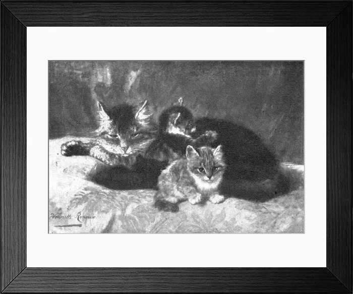 Framed Print : Pictures from the Royal Academy: Memories and Anticipations - Henriette Ronner, 1898. Creators: Unknown, Henriette Ronner Framed Print : Pictures from the Royal Academy: Memories and Anticipations - Henriette Ronner, 1898. Creators: Unknown, Henriette Ronner