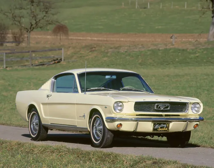 Framed Print : 1966 Ford Mustang Fastback Framed Print : 1966 Ford Mustang Fastback