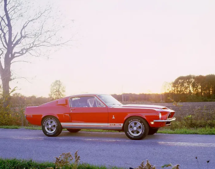 Framed Print : 1968 Ford mustang GT350 Shelby cobra Framed Print : 1968 Ford mustang GT350 Shelby cobra