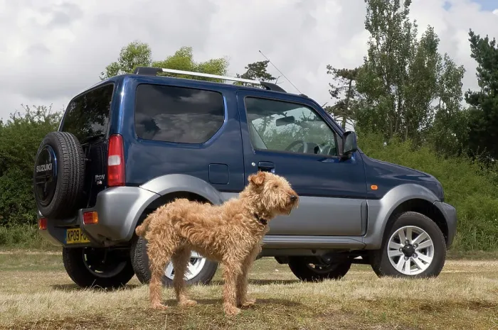 Framed Print : 2009 Suzuki Jimny SZ4 with pet dog Framed Print : 2009 Suzuki Jimny SZ4 with pet dog