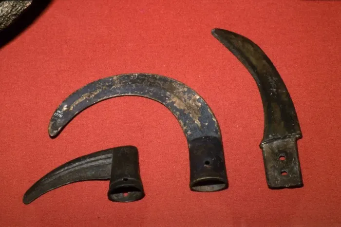 Framed Print : 3 bronze sickles, Buckinghamshire, London and Ireland, c1100BC-700 BC Framed Print : 3 bronze sickles, Buckinghamshire, London and Ireland, c1100BC-700 BC