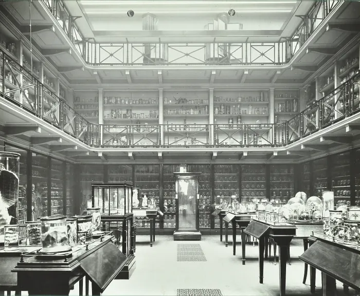 Framed Print : 39-43 Lincoln's Inn Fields, Westminster LB, London: Royal College of Surgeons, museum room 2, 1911 Framed Print : 39-43 Lincoln's Inn Fields, Westminster LB, London: Royal College of Surgeons, museum room 2, 1911
