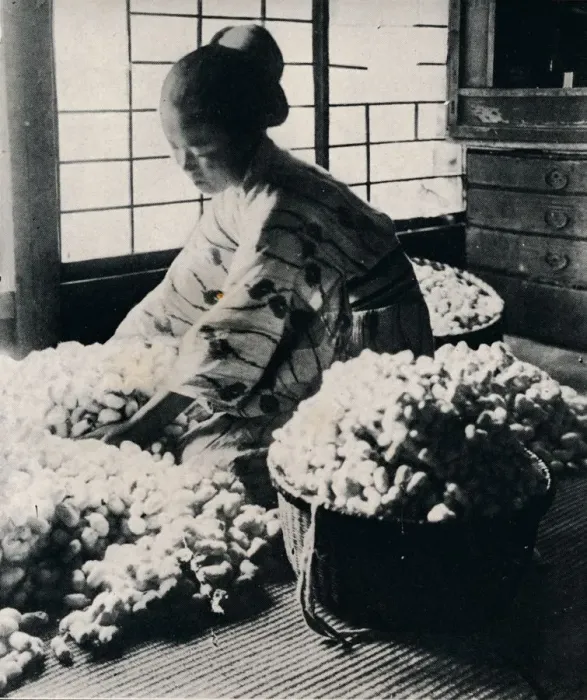 Framed Print : 5000 silkworms eat 125 lbs of mulberry for 8 skeins of silk, making one kimono, c1900, (1921). Artist: Julian Leonard Street Framed Print : 5000 silkworms eat 125 lbs of mulberry for 8 skeins of silk, making one kimono, c1900, (1921). Artist: Julian Leonard Street