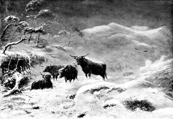 Framed Print : 'A Storm on Ben Lawers' by John J. Richardson, 1895. Creator: Unknown Framed Print : 'A Storm on Ben Lawers' by John J. Richardson, 1895. Creator: Unknown