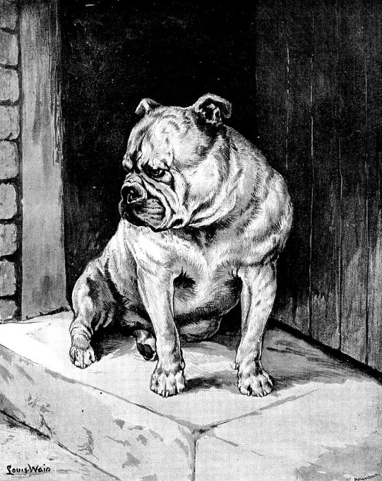 Framed Print : 'A Thing of Beauty' - sketch at the Bulldog Show, 1890. Creator: George Meisenbach Framed Print : 'A Thing of Beauty' - sketch at the Bulldog Show, 1890. Creator: George Meisenbach