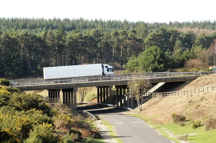Framed Print : The A31 Dual Carriageway through New Forest Framed Print : The A31 Dual Carriageway through New Forest