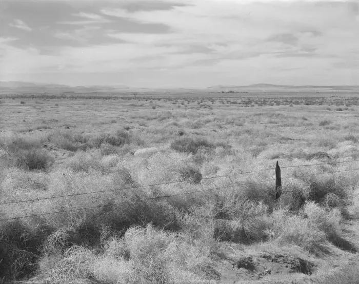 Framed Print : Abandoned farmland in the Columbia Basin, north of Quincy, Grant County, Washington, 1939. Creator: Dorothea Lange Framed Print : Abandoned farmland in the Columbia Basin, north of Quincy, Grant County, Washington, 1939. Creator: Dorothea Lange
