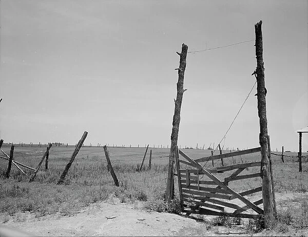 Abandoned land, exhausted soil, Carter County, Oklahoma, 1937. Creator: Dorothea Lange