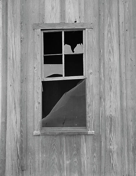 Abandoned shack of a tenant farmer near Roscoe, Texas, 1937. Creator: Dorothea Lange