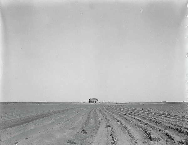 Abandoned tenant house, seen across tractored cotton fields, Childress County, Texas, 1937. Creator: Dorothea Lange