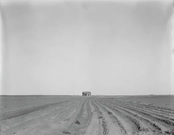 Framed Print : Abandoned tenant house, seen across tractored cotton fields, Childress County, Texas, 1937. Creator: Dorothea Lange Framed Print : Abandoned tenant house, seen across tractored cotton fields, Childress County, Texas, 1937. Creator: Dorothea Lange