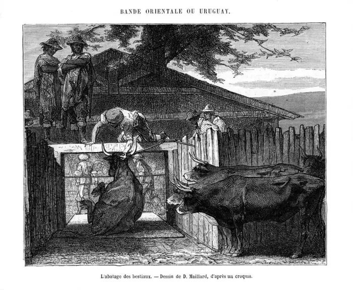 Framed Print : Abattoir, Uruguay, 19th century. Artist: D Maillard Framed Print : Abattoir, Uruguay, 19th century. Artist: D Maillard