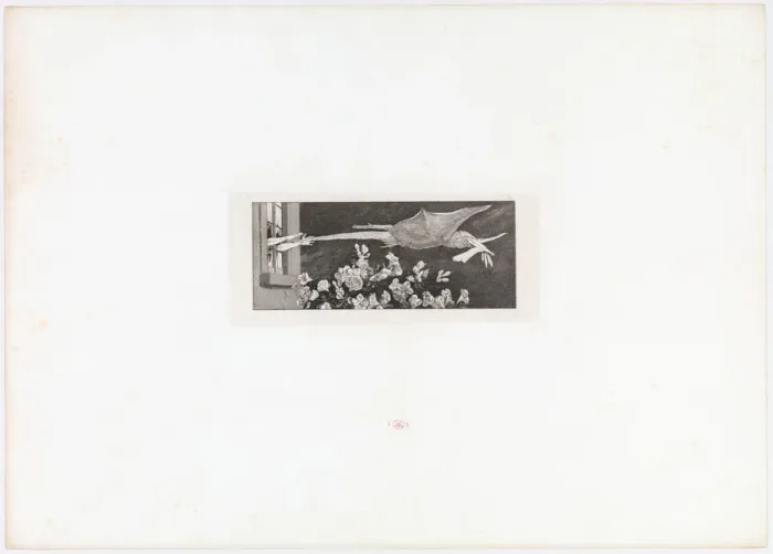 Framed Print : Abduction. (Opus VI, Plate 9 from Paraphrase on the Finding of a Glove), 1881 Framed Print : Abduction. (Opus VI, Plate 9 from Paraphrase on the Finding of a Glove), 1881