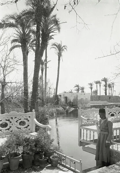 Abdul Baha garden, Acre, 1925. Creator: Frances Benjamin Johnston