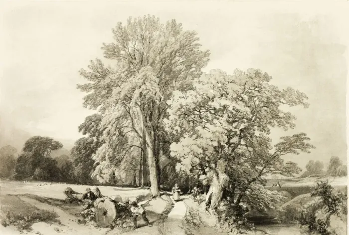 Framed Print : Abele and Oak, from The Park and the Forest, 1841. Creator: James Duffield Harding Framed Print : Abele and Oak, from The Park and the Forest, 1841. Creator: James Duffield Harding