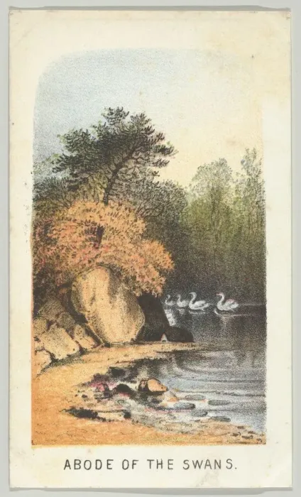 Framed Print : Abode of the Swans, from the series, Views in Central Park, New York, Part 2, 1864 Framed Print : Abode of the Swans, from the series, Views in Central Park, New York, Part 2, 1864