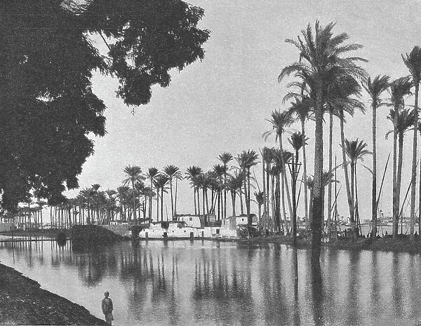 'Abords de l'avenue de Gezireh pendant la crue du Nil; Le Nord-Est Africain, 1914. Creator: Unknown