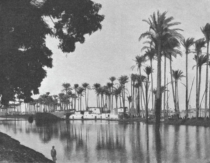 Framed Print : Abords de l'avenue de Gezireh pendant la crue du Nil; Le Nord-Est Africain, 1914. Creator: Unknown Framed Print : Abords de l'avenue de Gezireh pendant la crue du Nil; Le Nord-Est Africain, 1914. Creator: Unknown