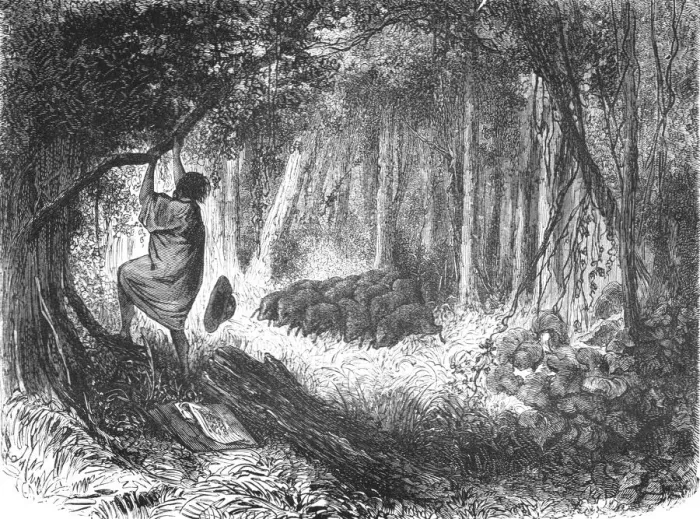 Framed Print : An Aboriginal in Danger; An Ascent of the Cofre de Perote, Mexico, 1875. Creator: Unknown Framed Print : An Aboriginal in Danger; An Ascent of the Cofre de Perote, Mexico, 1875. Creator: Unknown