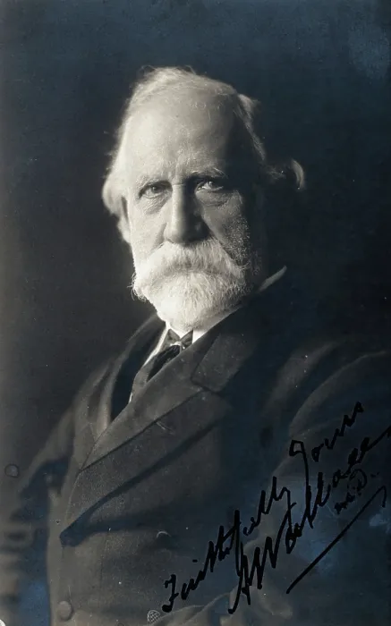 Framed Print : Abraham Wallace. Creator: Unknown Framed Print : Abraham Wallace. Creator: Unknown