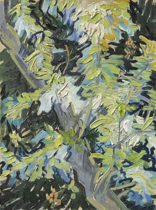 Framed Print : Acacia in Flowers. Creator: Vincent van Gogh Framed Print : Acacia in Flowers. Creator: Vincent van Gogh