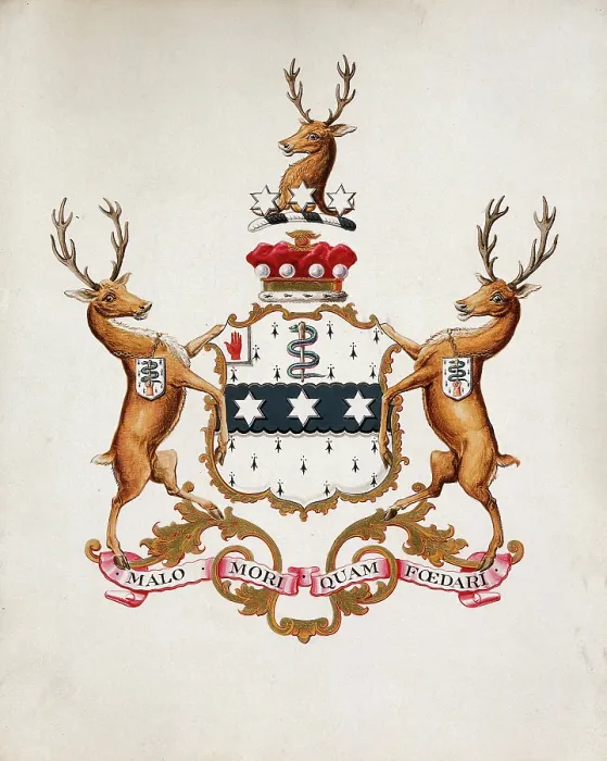 Framed Print : Achievement of arms of Joseph Lister, Baron Lister. Creator: Unknown Framed Print : Achievement of arms of Joseph Lister, Baron Lister. Creator: Unknown