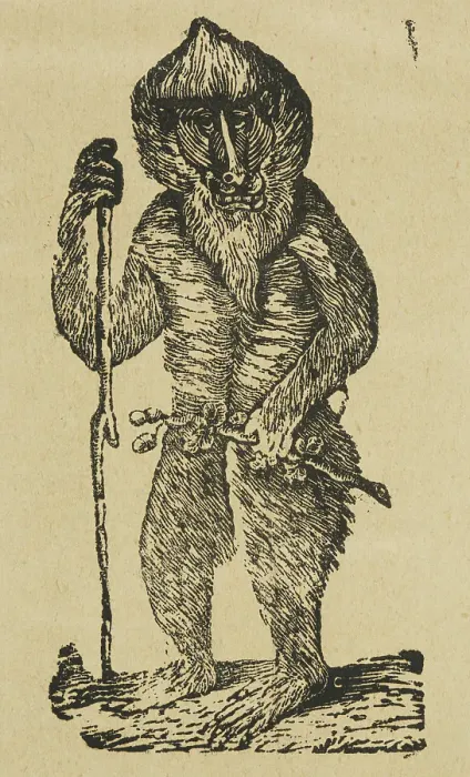 Framed Print : Active Gibbon, 1840. Creator: Unknown Framed Print : Active Gibbon, 1840. Creator: Unknown