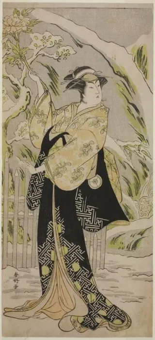Framed Print : The Actor Iwai Hanshiro IV as Lady Yaehata in the Play Sanga no Sho Haru no Hanayome Framed Print : The Actor Iwai Hanshiro IV as Lady Yaehata in the Play Sanga no Sho Haru no Hanayome