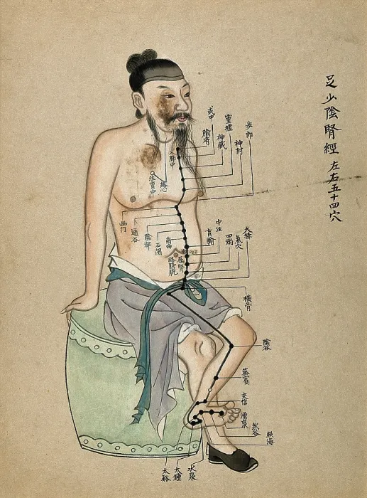 Framed Print : Acupuncture chart with a series of points indicated on the figure of a seated Chinese man, 1700-1799 Creator: Unknown Framed Print : Acupuncture chart with a series of points indicated on the figure of a seated Chinese man, 1700-1799 Creator: Unknown