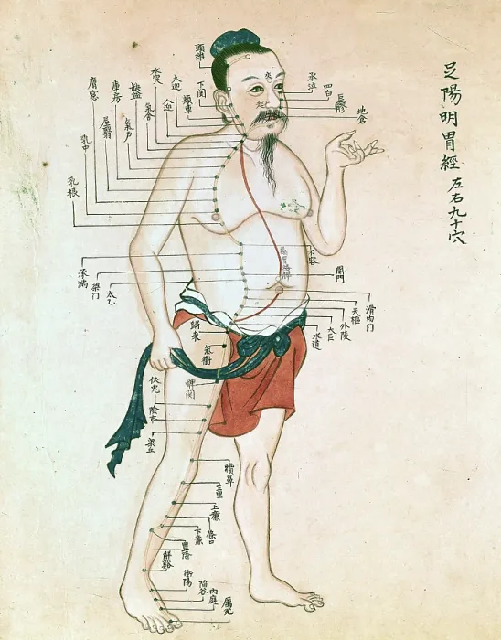 Framed Print : Acupuncture chart with a series of points indicated on the figure of a standing Chinese man. Creator: Unknown Framed Print : Acupuncture chart with a series of points indicated on the figure of a standing Chinese man. Creator: Unknown