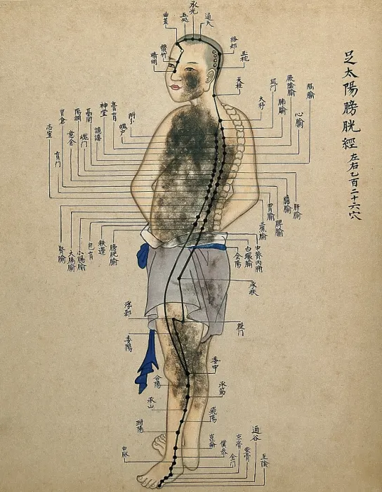 Framed Print : Acupuncture chart with a series of points indicated on the figure of a standing Chinese man. Creator: Unknown Framed Print : Acupuncture chart with a series of points indicated on the figure of a standing Chinese man. Creator: Unknown