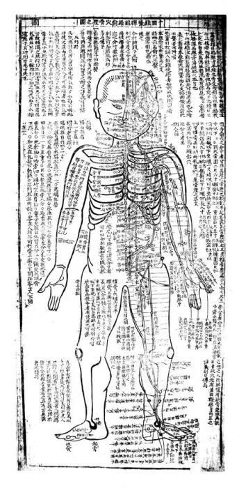 Framed Print : Acupuncture chart for the front of the body, Japanese, 19th century Framed Print : Acupuncture chart for the front of the body, Japanese, 19th century
