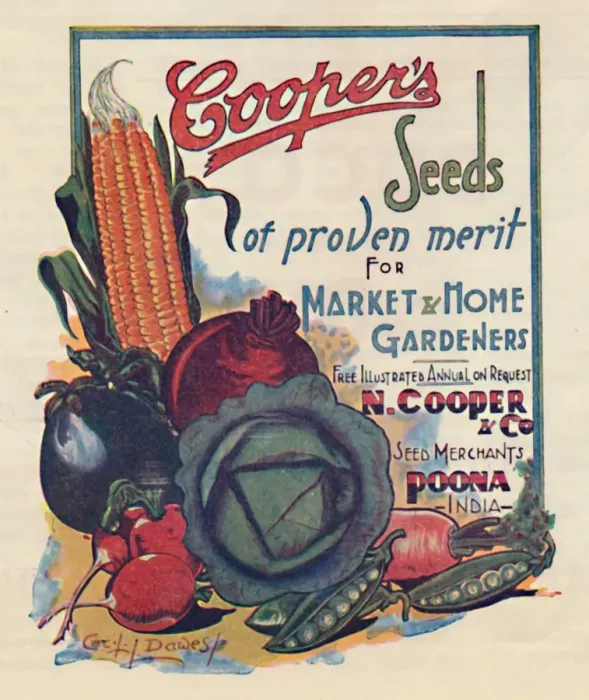Framed Print : Advertisement for Coopers seeds, 1936. Creator: Cecil Dawes Framed Print : Advertisement for Coopers seeds, 1936. Creator: Cecil Dawes