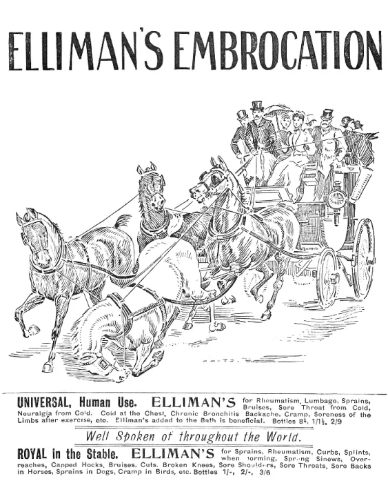 Framed Print : Advertisement for Elliman's Embrocation, 1909. Creator: Unknown. Advertisement for Elliman's Embrocation, 1909. Creator: Unknown Framed Print : Advertisement for Elliman's Embrocation, 1909. Creator: Unknown. Advertisement for Elliman's Embrocation, 1909. Creator: Unknown