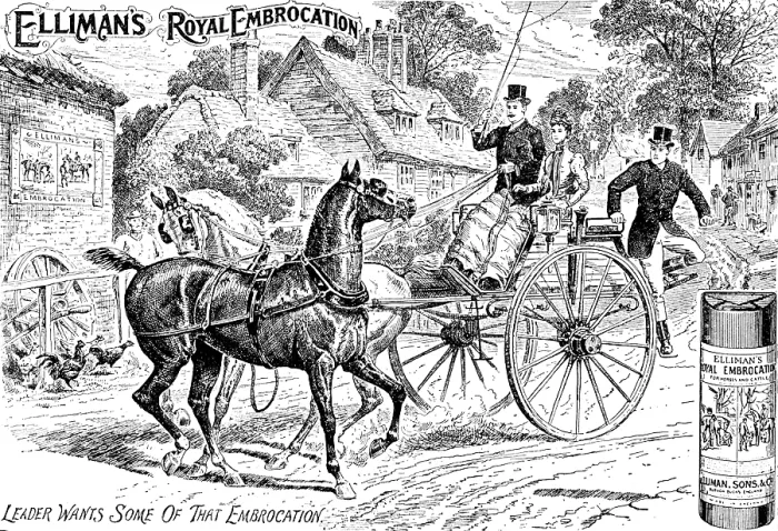 Framed Print : Advertisement for Elliman's Royal Embrocation, 1895. Creator: Unknown. Advertisement for Elliman's Royal Embrocation, 1895. Creator: Unknown Framed Print : Advertisement for Elliman's Royal Embrocation, 1895. Creator: Unknown. Advertisement for Elliman's Royal Embrocation, 1895. Creator: Unknown