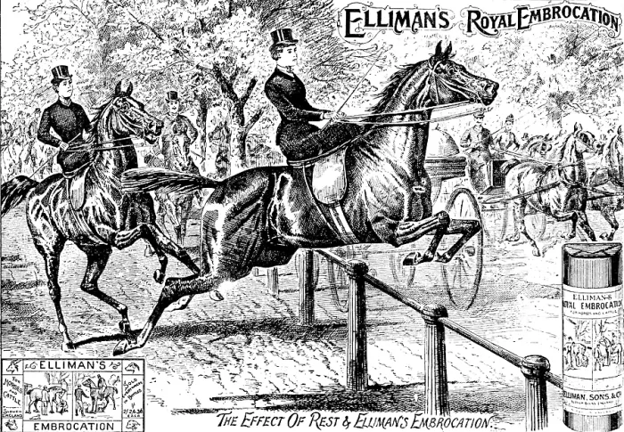 Framed Print : Advertisement for Elliman's Royal Embrocation, 1895. Creator: Unknown. Advertisement for Elliman's Royal Embrocation, 1895. Creator: Unknown Framed Print : Advertisement for Elliman's Royal Embrocation, 1895. Creator: Unknown. Advertisement for Elliman's Royal Embrocation, 1895. Creator: Unknown